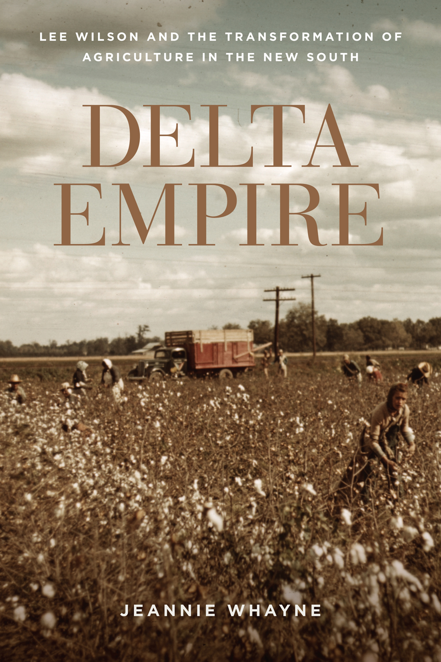 Delta Empire by Jeannie Whayne
